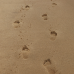 footprints in the sand